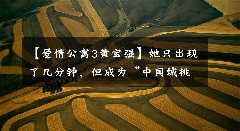 【爱情公寓3黄宝强】她只出现了几分钟，但成为“中国城挑夫”简直是传世炮本派