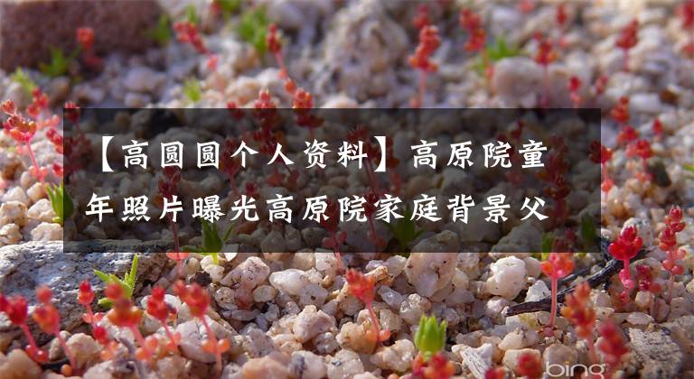 【高圆圆个人资料】高原院童年照片曝光高原院家庭背景父母资料介绍