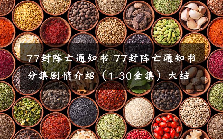 77封阵亡通知书 77封阵亡通知书分集剧情介绍(1-30全集)大结局