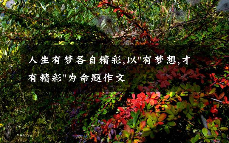 人生有梦各自精彩,以