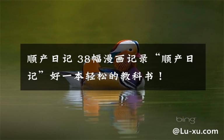 顺产日记 38幅漫画记录“顺产日记”好一本轻松的教科书!