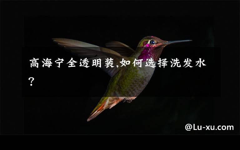 高海宁全透明装,如何选择洗发水?