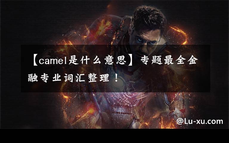 【camel是什么意思】专题最全金融专业词汇整理!