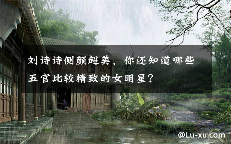 刘诗诗侧颜超美,你还知道哪些五官比较精致的女明星?