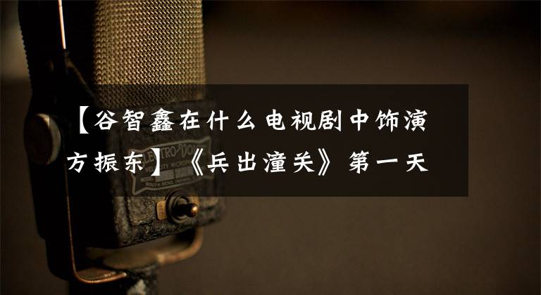 【谷智鑫在什么电视剧中饰演方振东】《兵出潼关》第一天，大乘谷智信“这个刀客有点可爱”