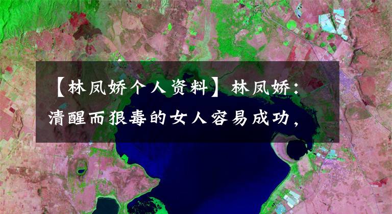 【林凤娇个人资料】林凤娇:清醒而狠毒的女人容易成功,但不会幸福。