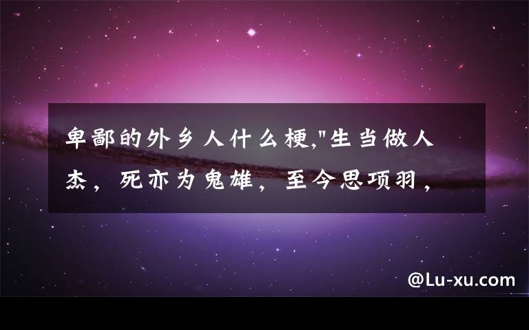 卑鄙的外乡人什么梗,