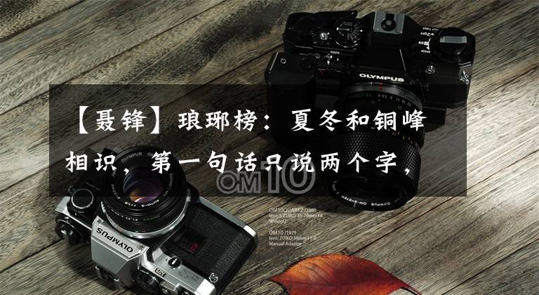 【聂锋】琅琊榜：夏冬和铜峰相识，第一句话只说两个字，夏冬瞬间哭了