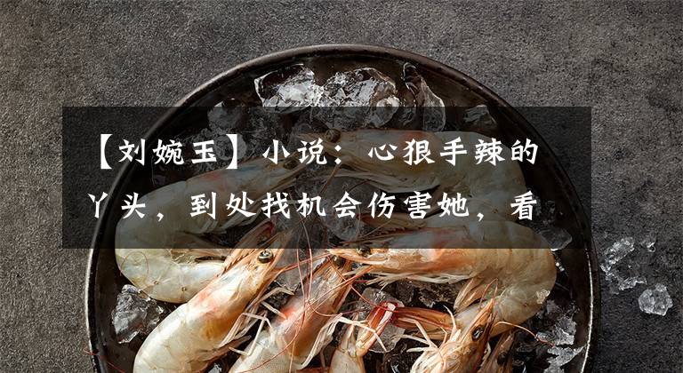 【刘婉玉】小说：心狠手辣的丫头，到处找机会伤害她，看她怎么反击！