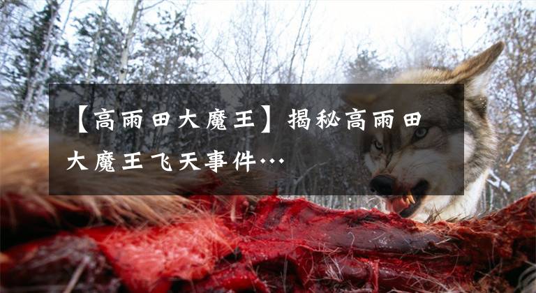 【高雨田大魔王】揭秘高雨田大魔王飞天事件…