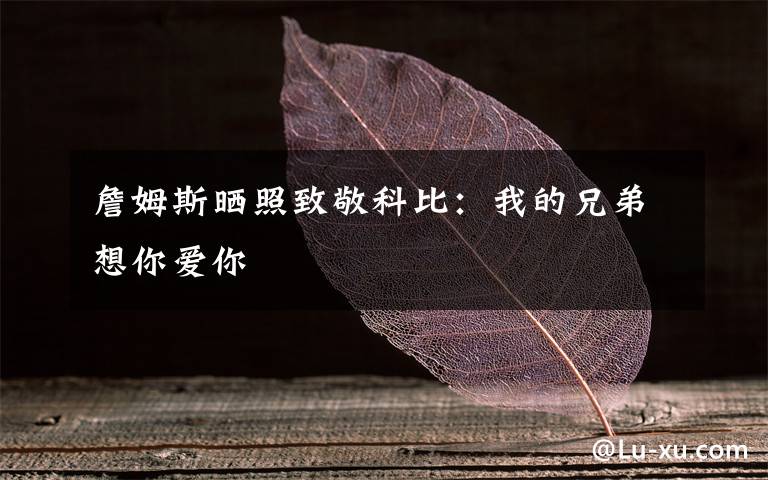 詹姆斯晒照致敬科比:我的兄弟想你爱你