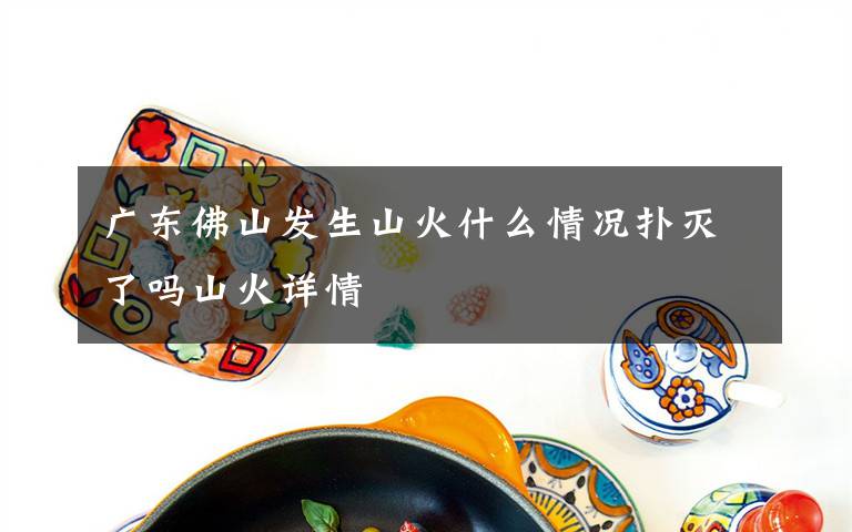 广东佛山发生山火什么情况扑灭了吗山火详情