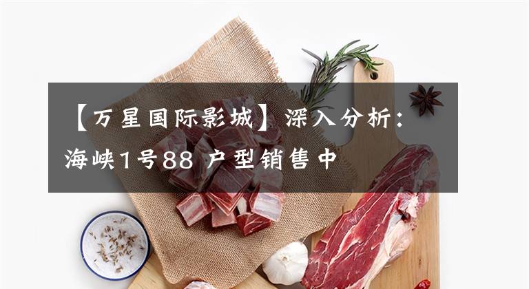 【万星国际影城】深入分析:海峡1号88 户型销售中