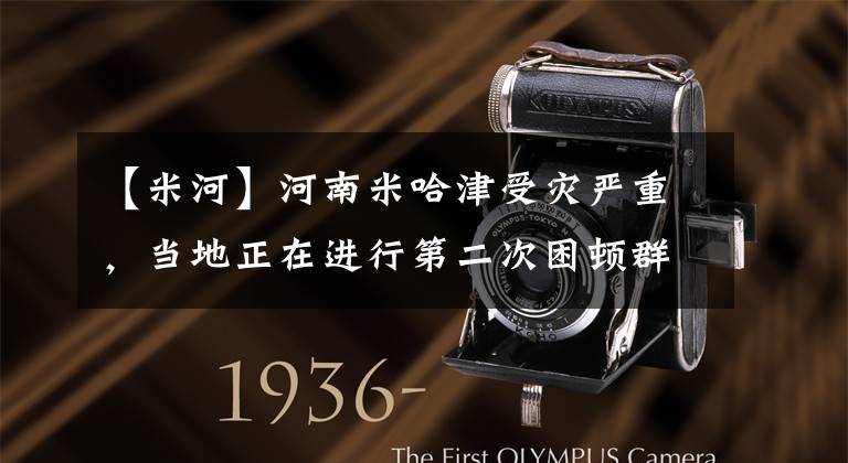 【米河】河南米哈津受灾严重,当地正在进行第二次困顿群众搜索。