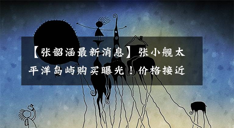 【张韶涵最新消息】张小舰太平洋岛屿购买曝光!价格接近亿,还有别墅吗?国内外都有房地产