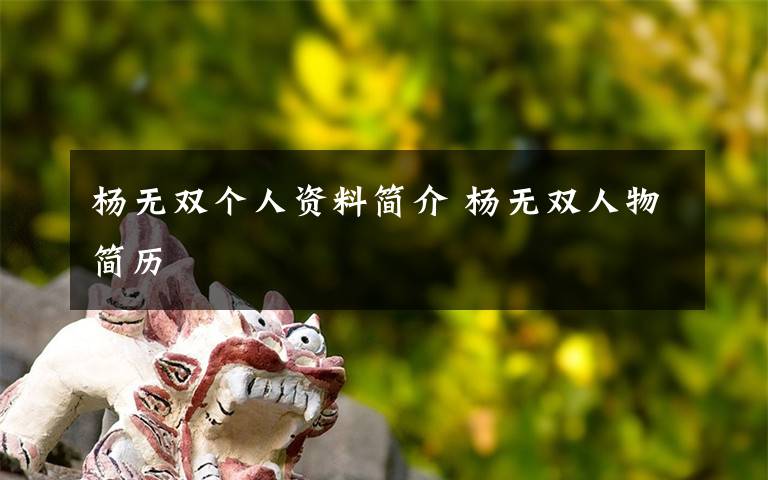 杨无双个人资料简介 杨无双人物简历