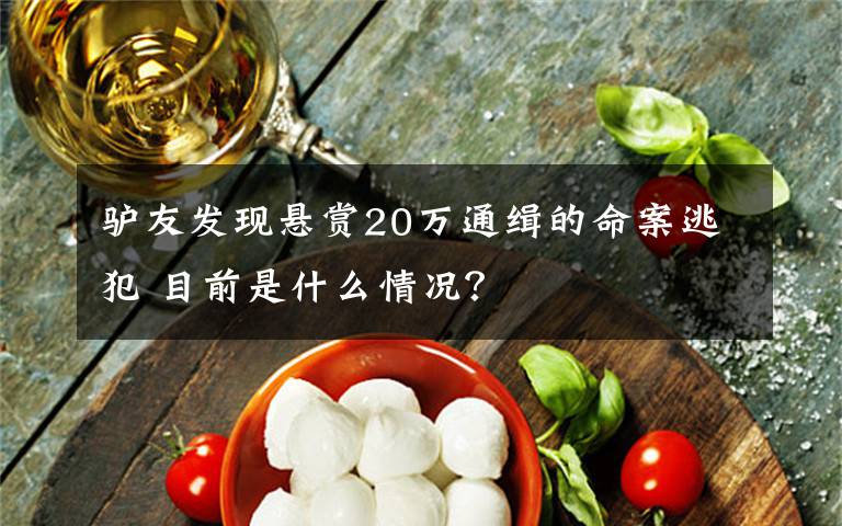 驴友发现悬赏20万通缉的命案逃犯 目前是什么情况?