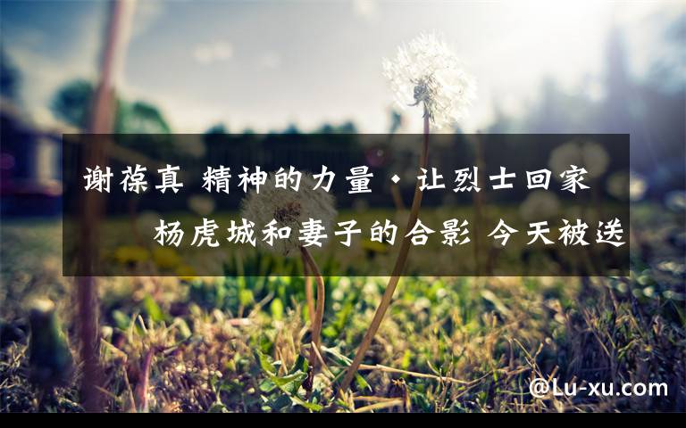 谢葆真 精神的力量·让烈士回家|杨虎城和妻子的合影 今天被送回西安