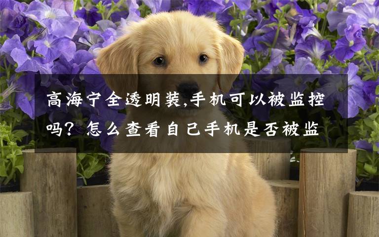 高海宁全透明装,手机可以被监控吗?怎么查看自己手机是否被监控?