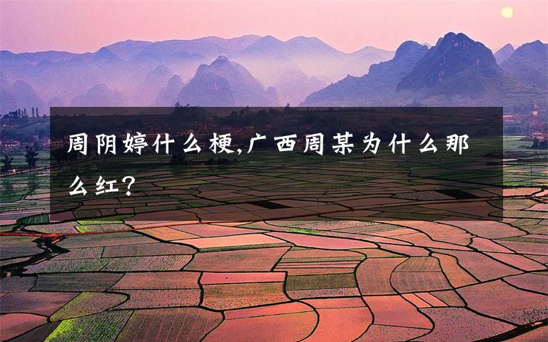 周阴婷什么梗,广西周某为什么那么红？
