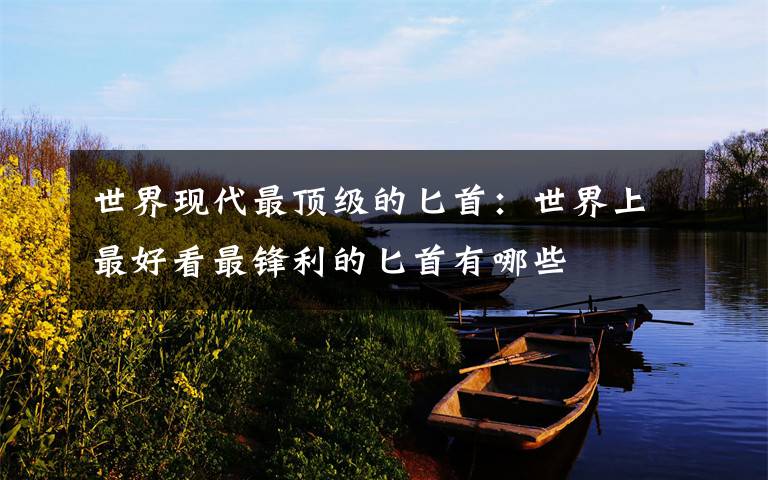 世界现代最顶级的匕首:世界上最好看最锋利的匕首有哪些