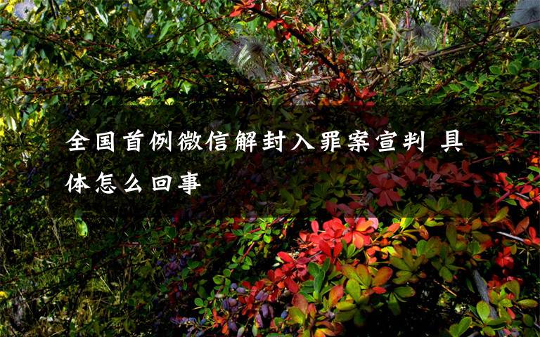 全国首例微信解封入罪案宣判 具体怎么回事