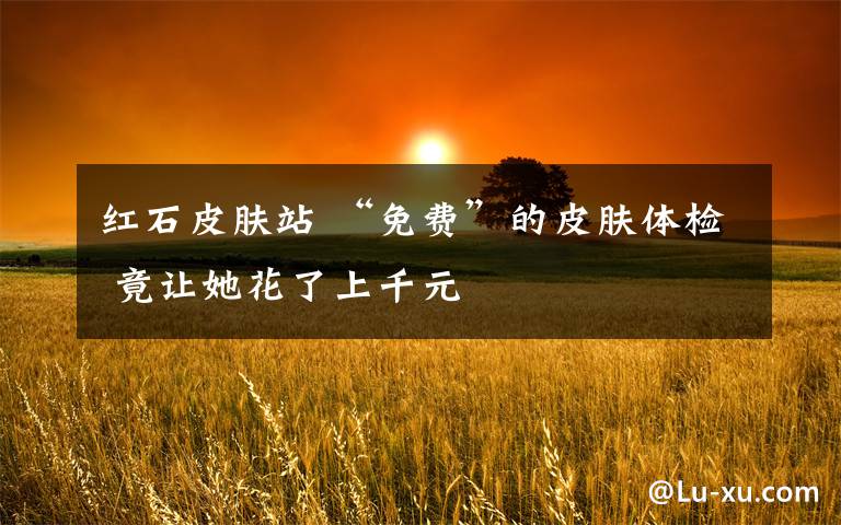 红石皮肤站 “免费”的皮肤体检 竟让她花了上千元