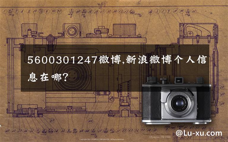 5600301247微博,新浪微博个人信息在哪?