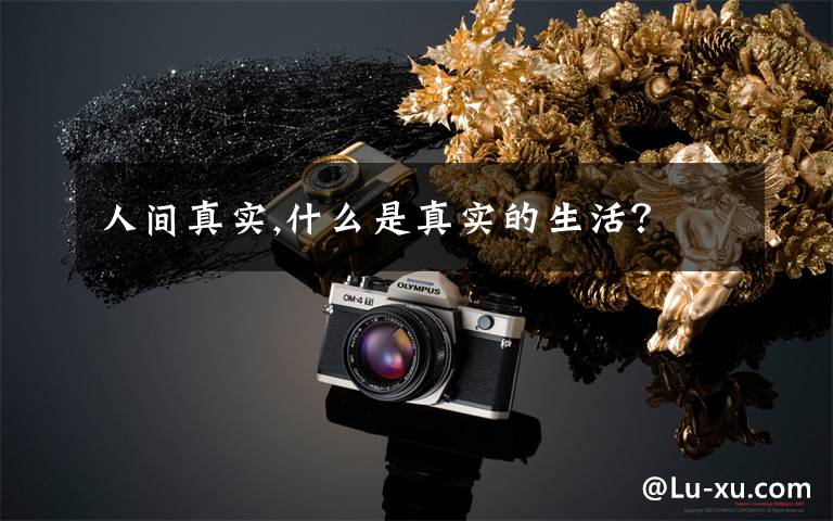 人间真实,什么是真实的生活?