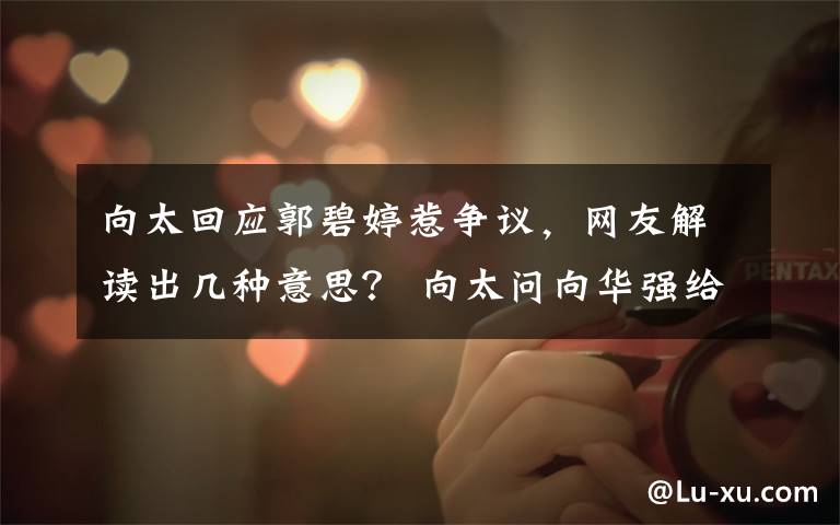 向太回应郭碧婷惹争议,网友解读出几种意思? 向太问向华强给郭碧婷多少零花钱