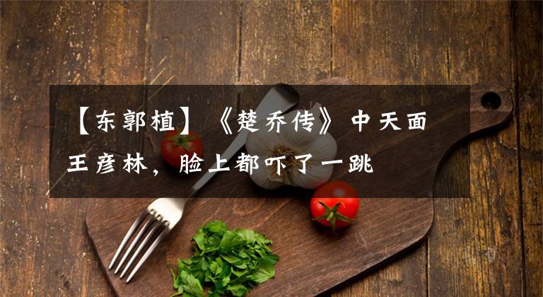 【东郭植】《楚乔传》中天面王彦林，脸上都吓了一跳