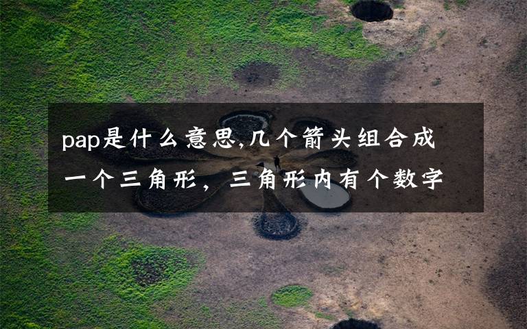 pap是什么意思,几个箭头组合成一个三角形，三角形内有个数字 21 下面有英文字母PAP，这是什么标志，什么意思呢？
