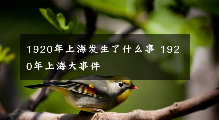 1920年上海发生了什么事 1920年上海大事件