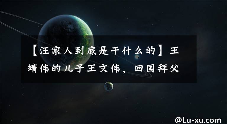 【汪家人到底是干什么的】王靖伟的儿子王文伟,回国拜父母,父母膝盖冻伤,说了十句话。