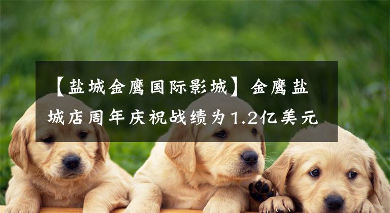【盐城金鹰国际影城】金鹰盐城店周年庆祝战绩为1.2亿美元，配额为25万人。
