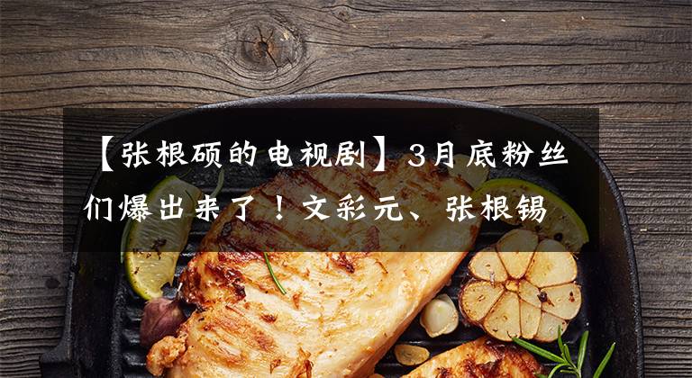 【张根硕的电视剧】3月底粉丝们爆出来了!文彩元、张根锡、姜素拉、女神回来了!