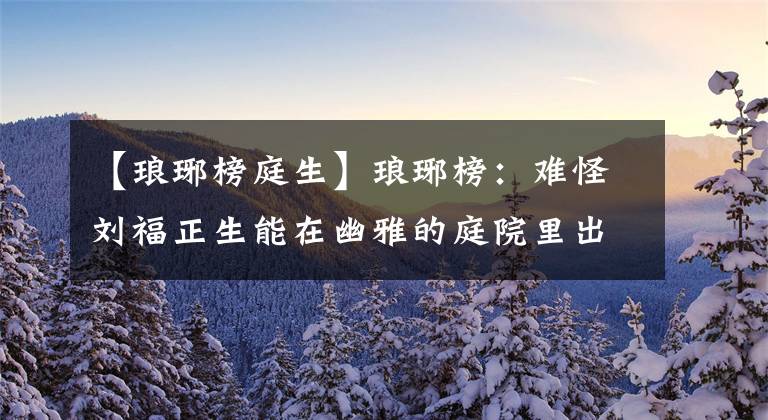 【琅琊榜庭生】琅琊榜：难怪刘福正生能在幽雅的庭院里出生。你看棋王说了什么？