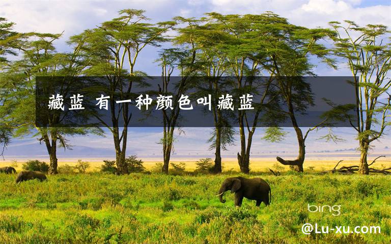 藏蓝 有一种颜色叫藏蓝