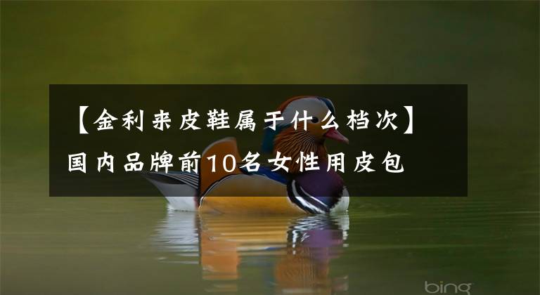 【金利来皮鞋属于什么档次】国内品牌前10名女性用皮包