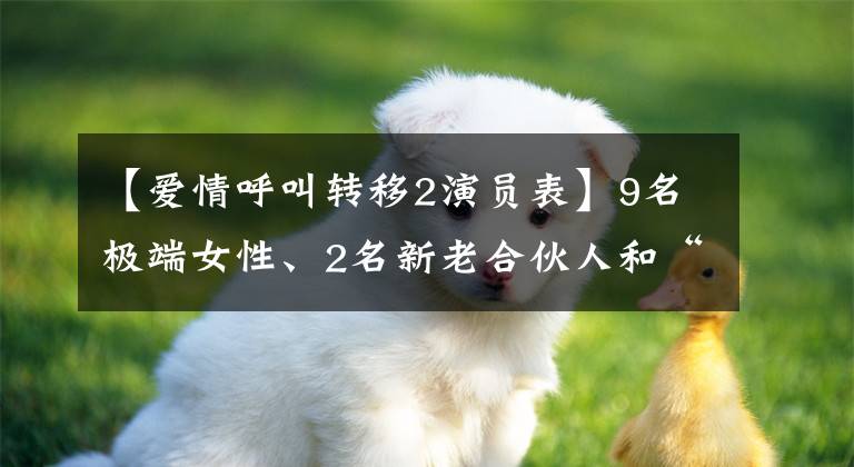 【爱情呼叫转移2演员表】9名极端女性、2名新老合伙人和“许静”解决7年之痒的方式是煽情的。