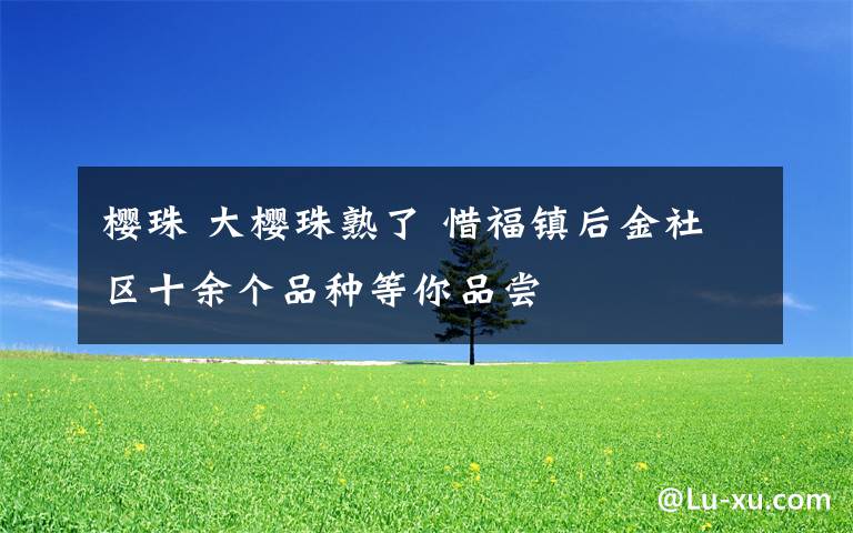 樱珠 大樱珠熟了 惜福镇后金社区十余个品种等你品尝
