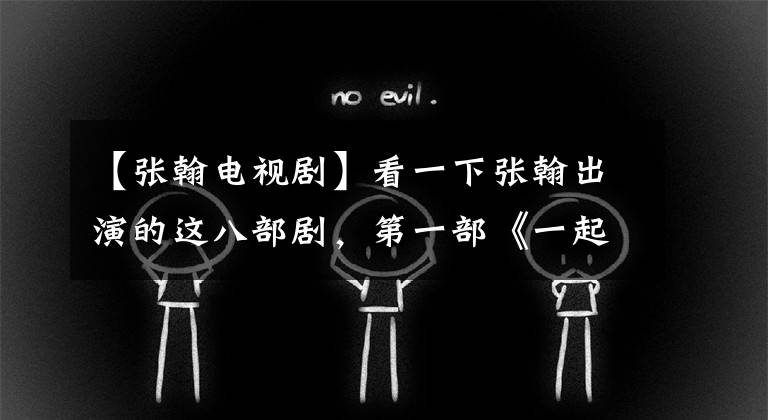 【张翰电视剧】看一下张翰出演的这八部剧，第一部《一起来看流星雨》部，看过几部。