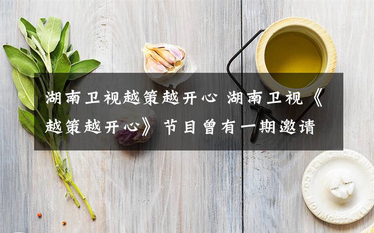 湖南卫视越策越开心 湖南卫视《越策越开心》节目曾有一期邀请的嘉宾是国家理财规划师专业委员会秘书长刘彦斌,主题是“理财”,