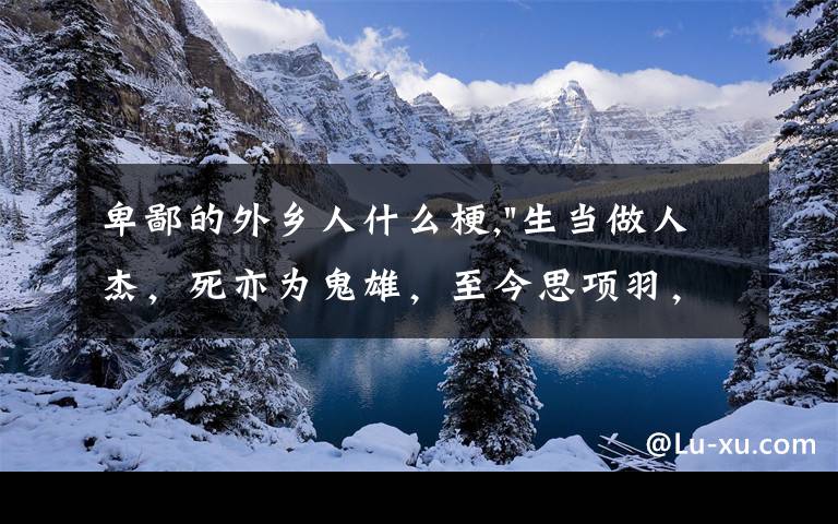 卑鄙的外乡人什么梗,