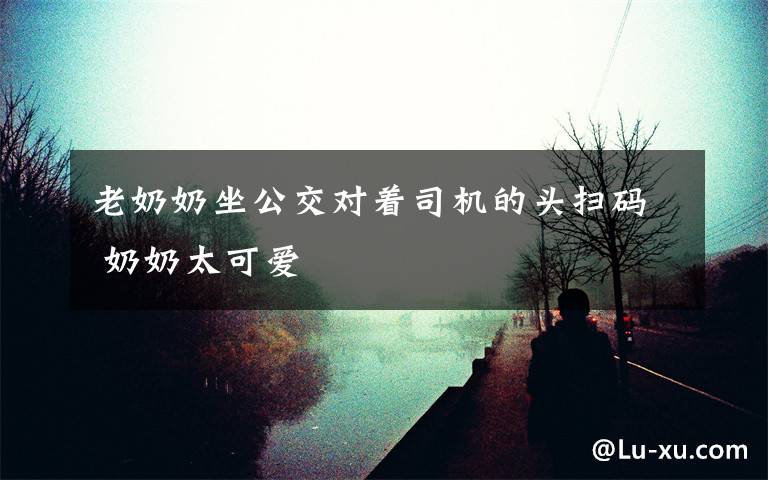 老奶奶坐公交对着司机的头扫码 奶奶太可爱