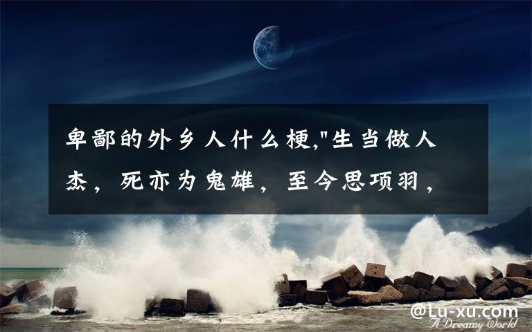 卑鄙的外乡人什么梗,