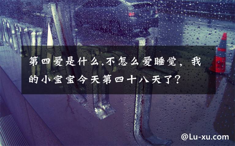 第四爱是什么,不怎么爱睡觉，我的小宝宝今天第四十八天了？