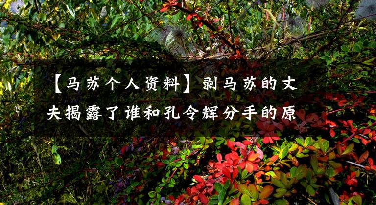 【马苏个人资料】剥马苏的丈夫揭露了谁和孔令辉分手的原因?