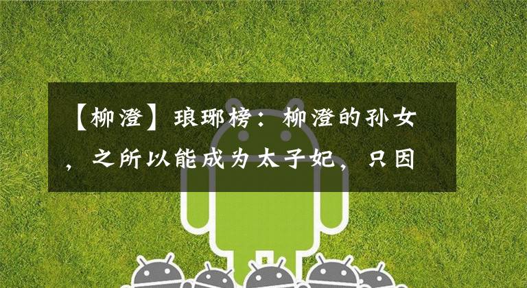 【柳澄】琅琊榜：柳澄的孙女，之所以能成为太子妃，只因和靖王有个小秘密