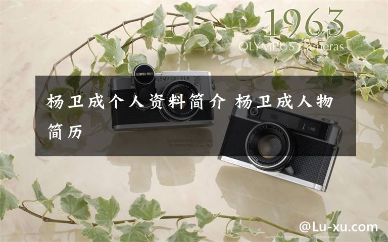 杨卫成个人资料简介 杨卫成人物简历